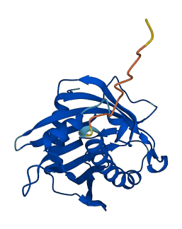 STARD6 3D structure