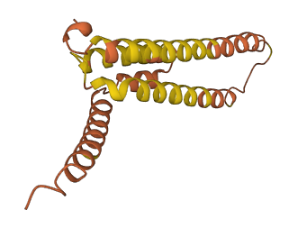 DAOA 3D structure