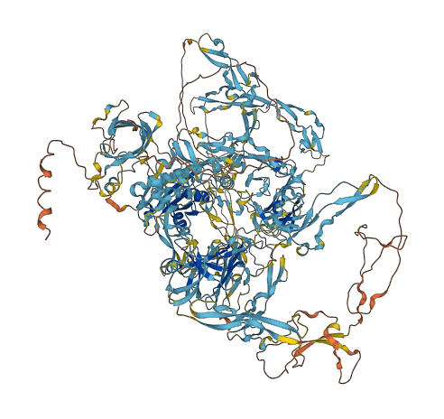 ADAMTS20 3D structure