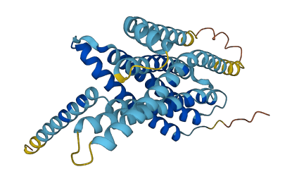 TAS2R38 3D structure