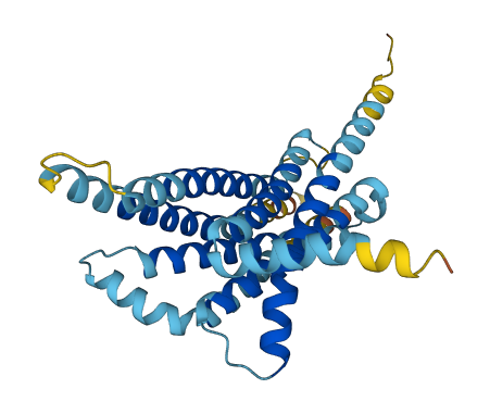 TAS2R40 3D structure