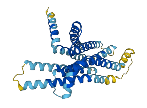 TAS2R41 3D structure