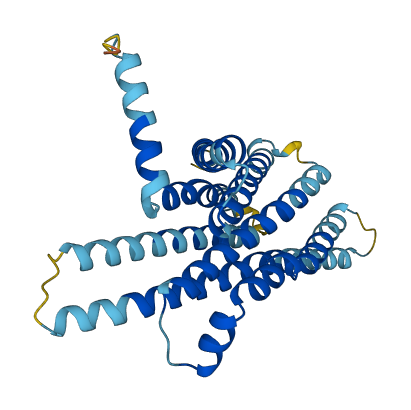 TAS2R43 3D structure