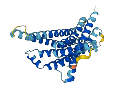 TAS2R31 3D structure