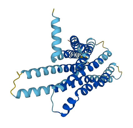 TAS2R45 3D structure