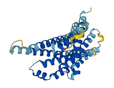TAS2R46 3D structure