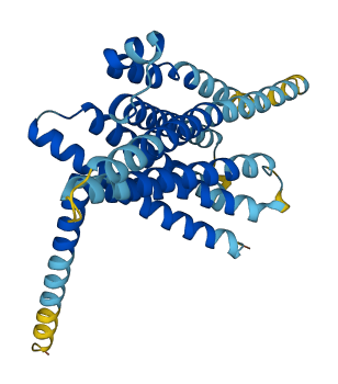 TAS2R30 3D structure
