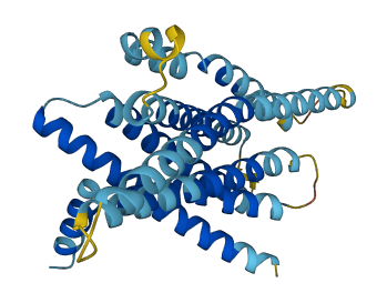 TAS2R19 3D structure