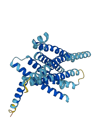 TAS2R20 3D structure