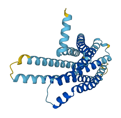TAS2R50 3D structure