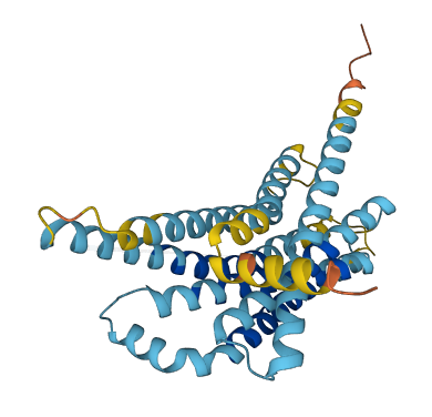 TAS2R60 3D structure