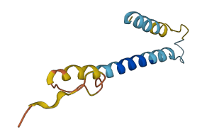 FXYD4 3D structure
