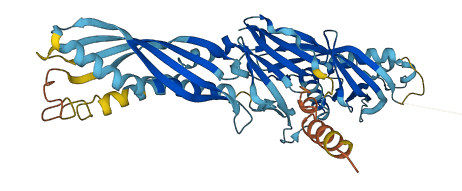 BPIFB3 3D structure