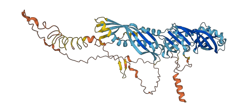 BPIFB4 3D structure