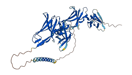 LILRA4 3D structure