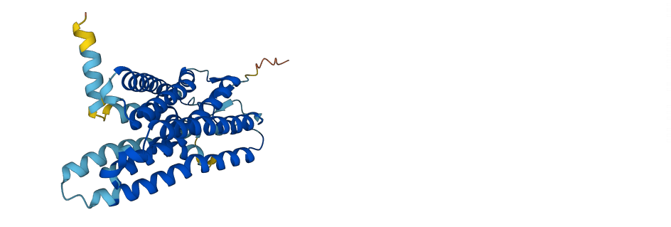 OR2B8P 3D structure