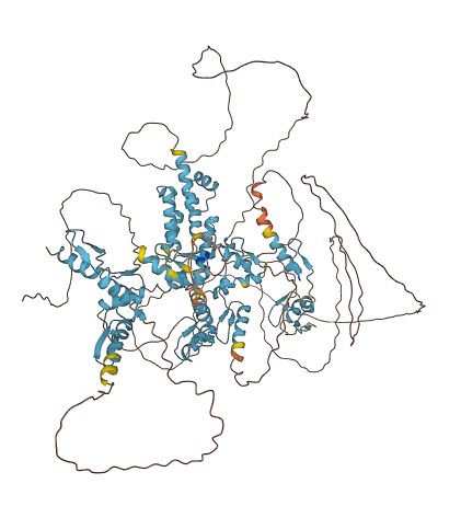 ZNF445 3D structure
