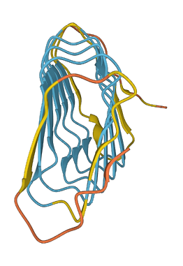 KRTAP12-2 3D structure