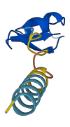 DEFB1 3D structure