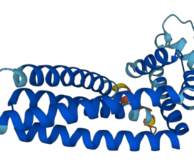 CD81 3D structure