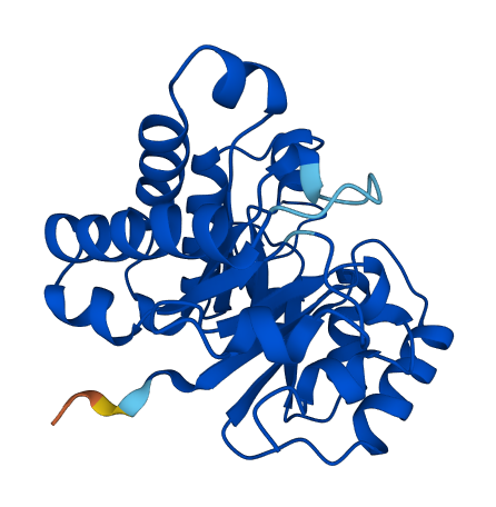 TPI1 3D structure