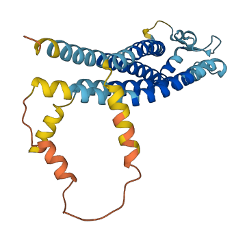 PLP1 3D structure