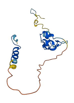 NANOS2 3D structure