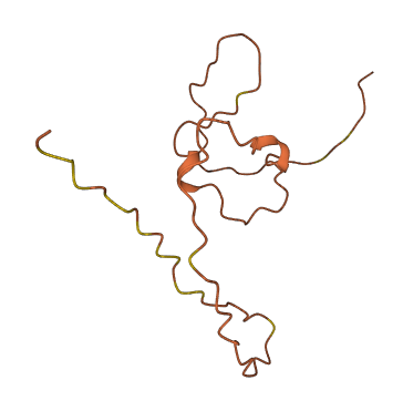 KRTAP12-4 3D structure
