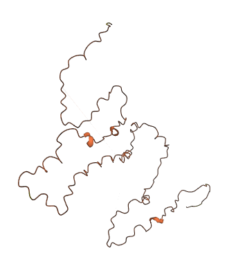 KRTAP10-3 3D structure