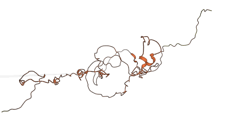KRTAP10-11 3D structure