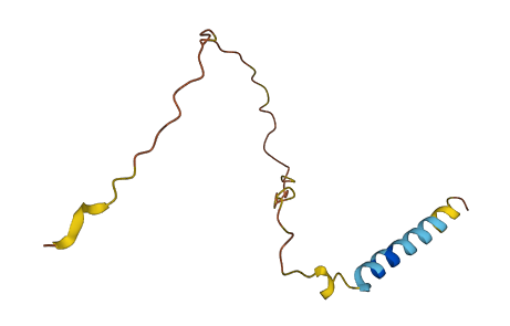 SEC61B 3D structure