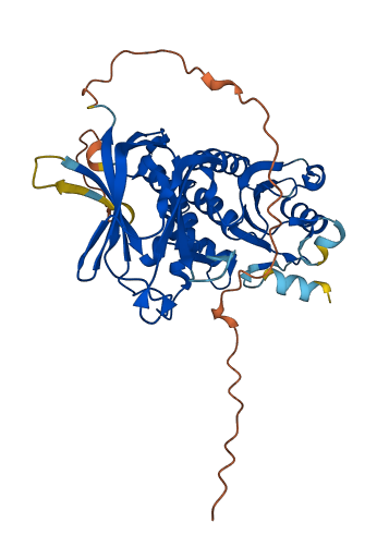 PTEN 3D structure