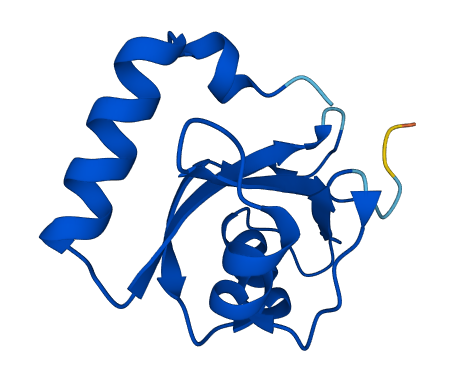 GABARAPL2 3D structure