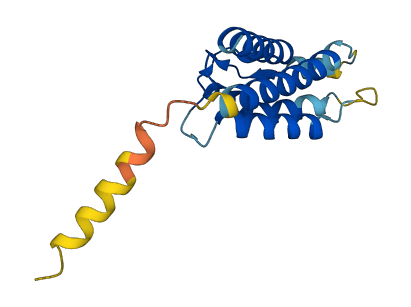 IL2 3D structure