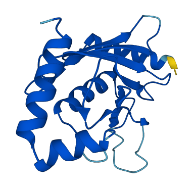 UBE2G2 3D structure