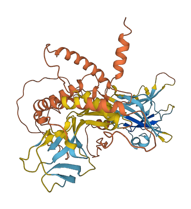 ERVFC1-1 3D structure