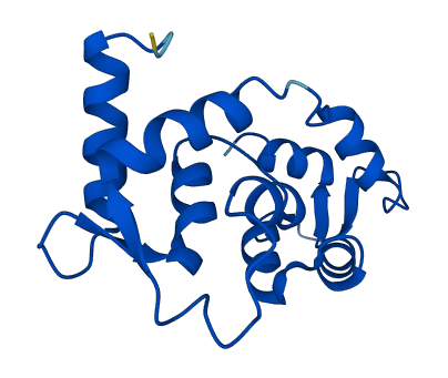 MYL6 3D structure