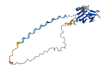 C1QTNF8 3D structure
