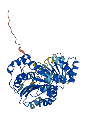 EIF4A1 3D structure