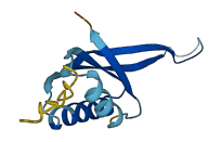 RPS20 3D structure