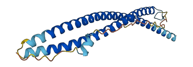 SNAP25 3D structure