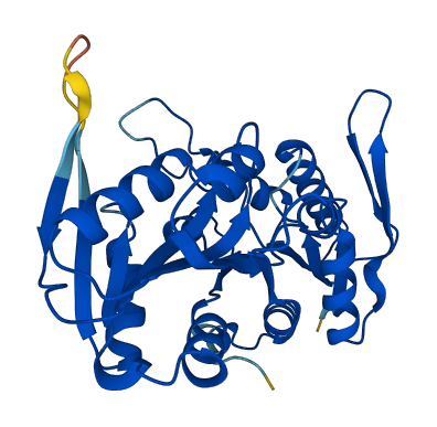 PRPS1 3D structure