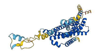 GPR85 3D structure