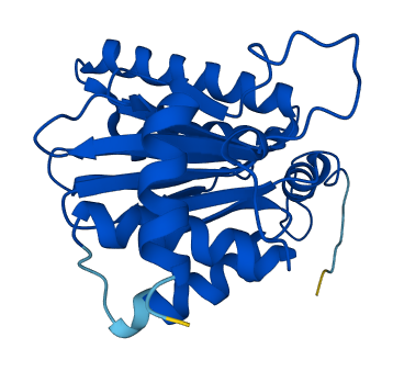 PSMA6 3D structure