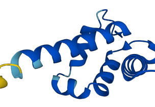 S100A10 3D structure