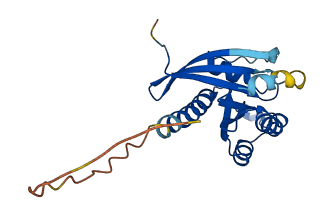 RAB8A 3D structure