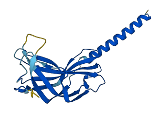 SPCS3 3D structure