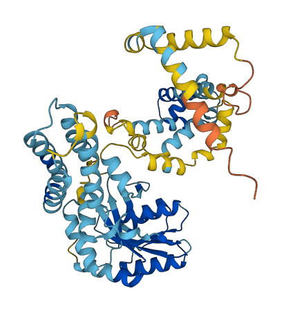 SRP54 3D structure