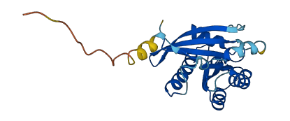 RAB2A 3D structure