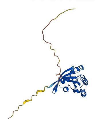 RAB5B 3D structure